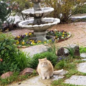 Meet your Posher, Kyi